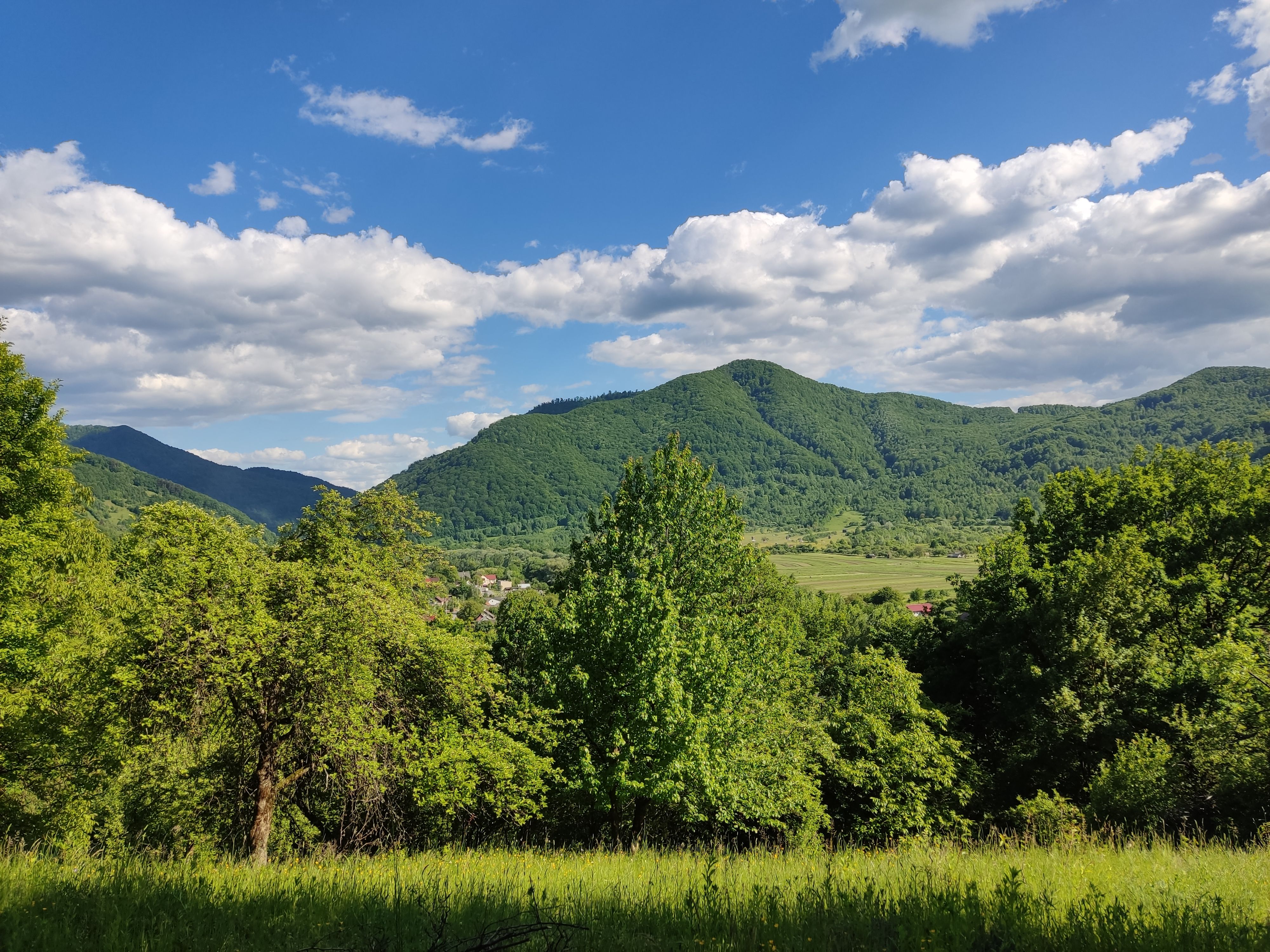Winnice Zakarpattia