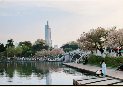 Free Peaceful park view with cherry blossoms and people enjoying spring by the water. Stock Photo