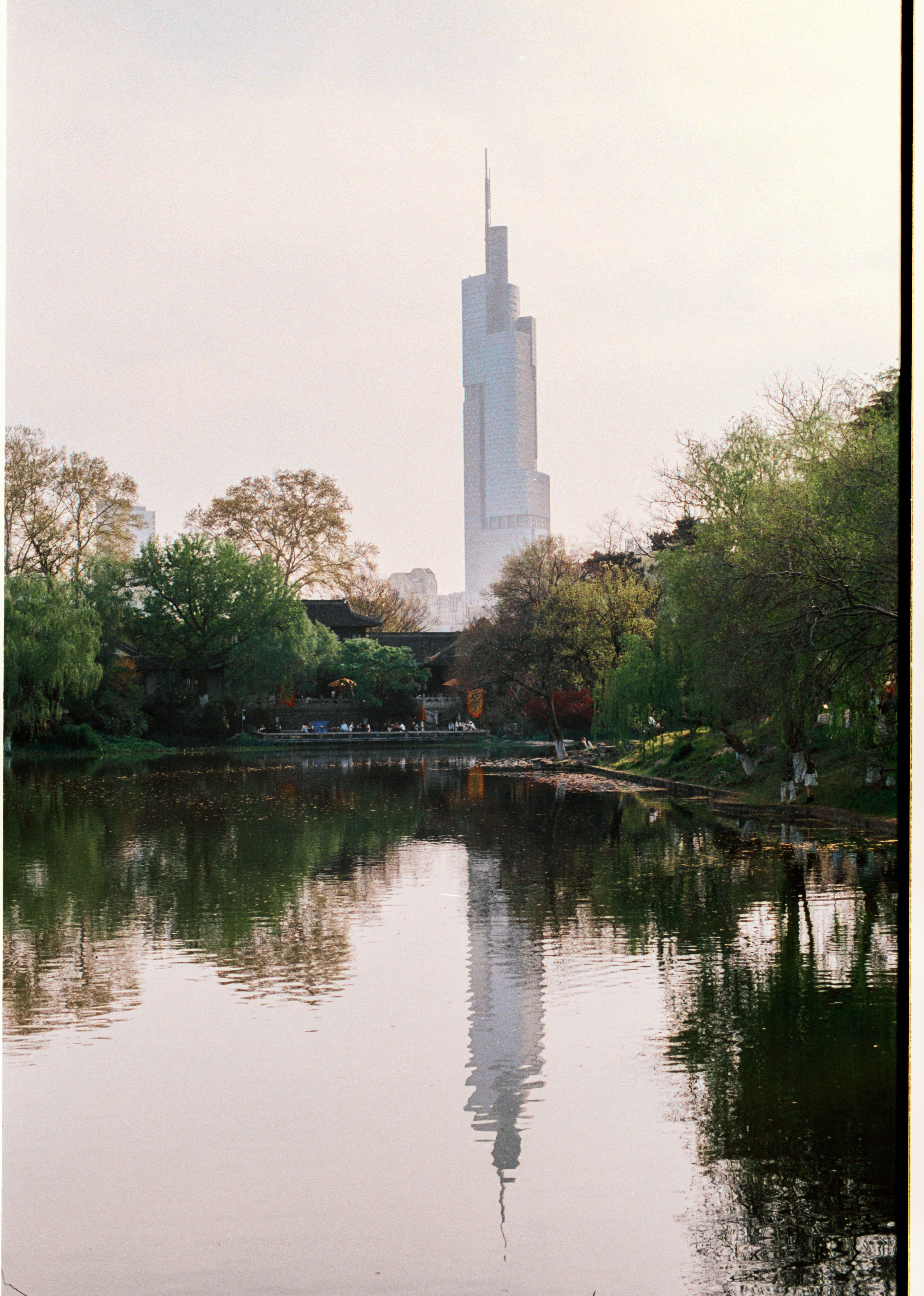 Serene park landscape with cityscape reflection in calm water.