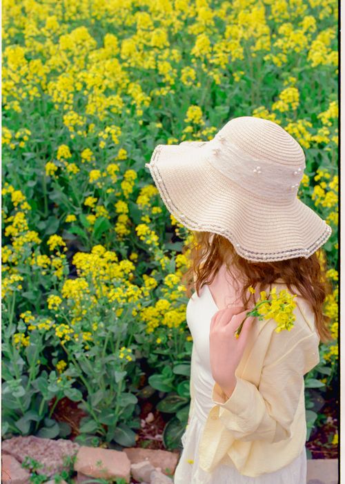 Free Woman with sun hat holding flowers in a blooming yellow field. Stock Photo