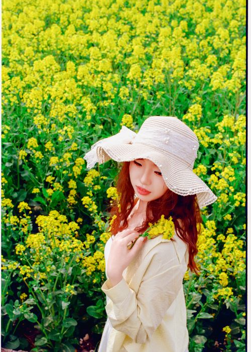 Free A young woman wearing a sun hat stands in a field of vibrant yellow flowers. Stock Photo