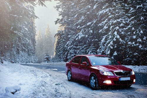 Free Red Sedan in the Middle of Forest Stock Photo