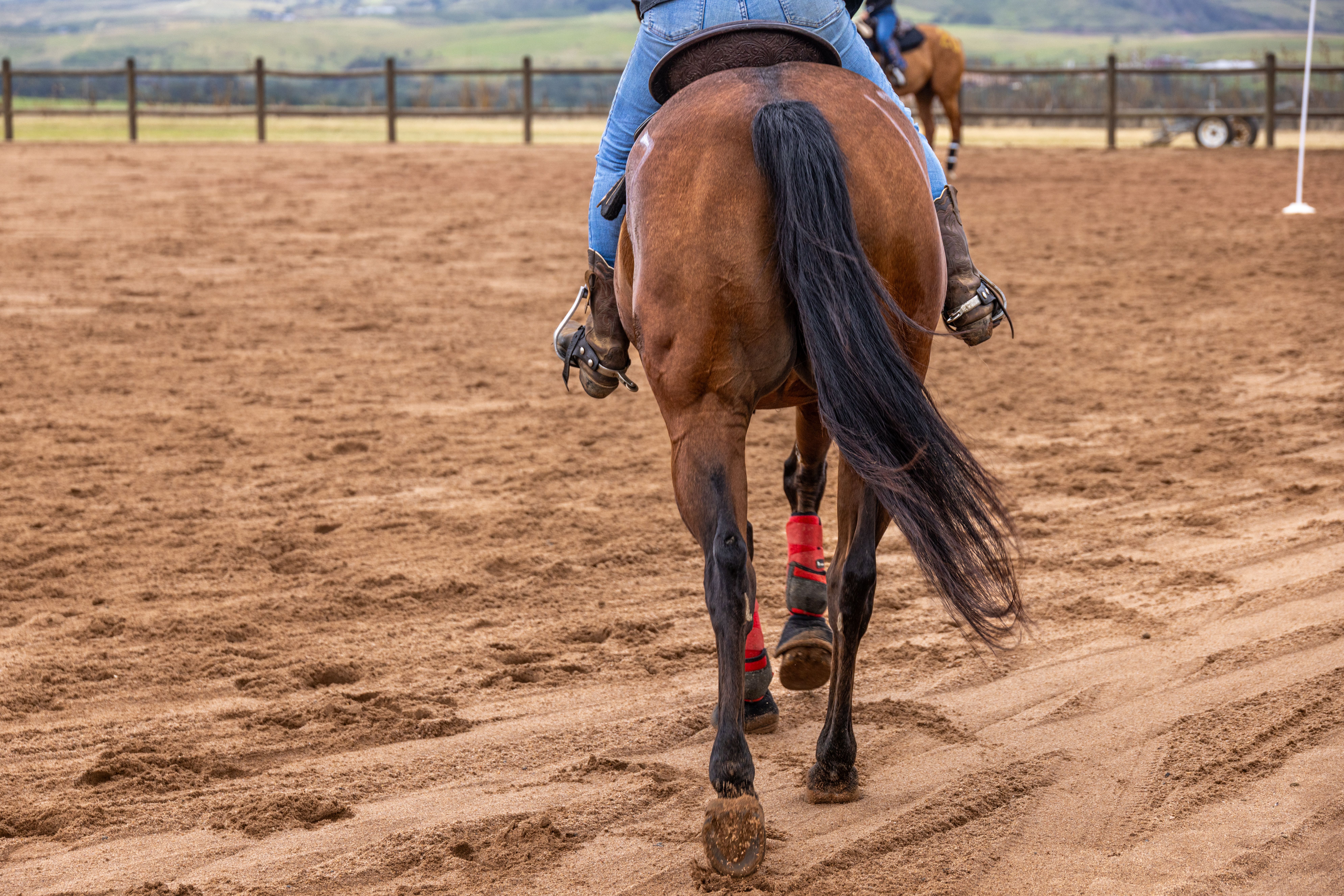Rear view of person riding horse in outdoor sandy arena, showcasing equestrian and riding boots.
