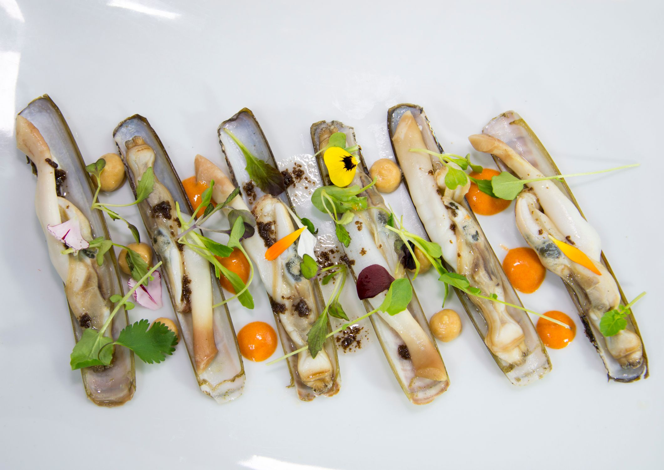 Gourmet Razor Clams with Edible Flowers and Microgreens · Free Stock Photo