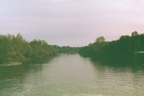 Free Peaceful view of a riverbank surrounded by lush greenery in Wrocław, Poland. Stock Photo