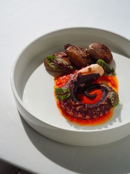 Artful presentation of octopus with potatoes and sauce on a white plate.