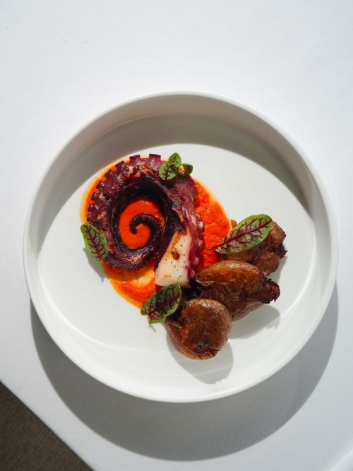Free Elegant octopus dish with roasted potatoes and vibrant puree, perfect for gourmet dining. Stock Photo