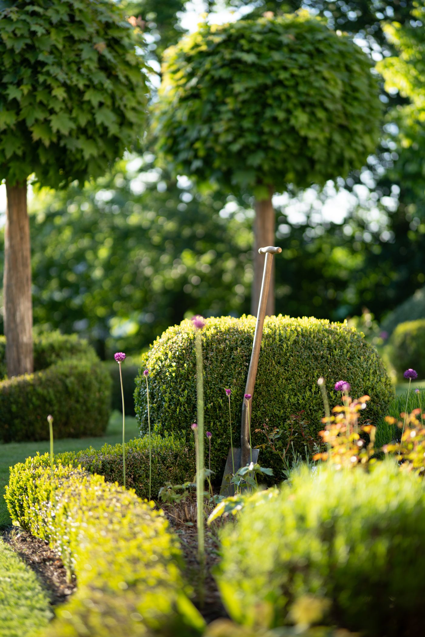 Beautifully landscaped garden with shovel, showing professional garden work in progress