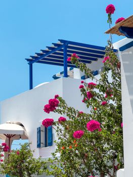 Bright bougainvillea against traditional white Greek architecture under a clear blue sky.
