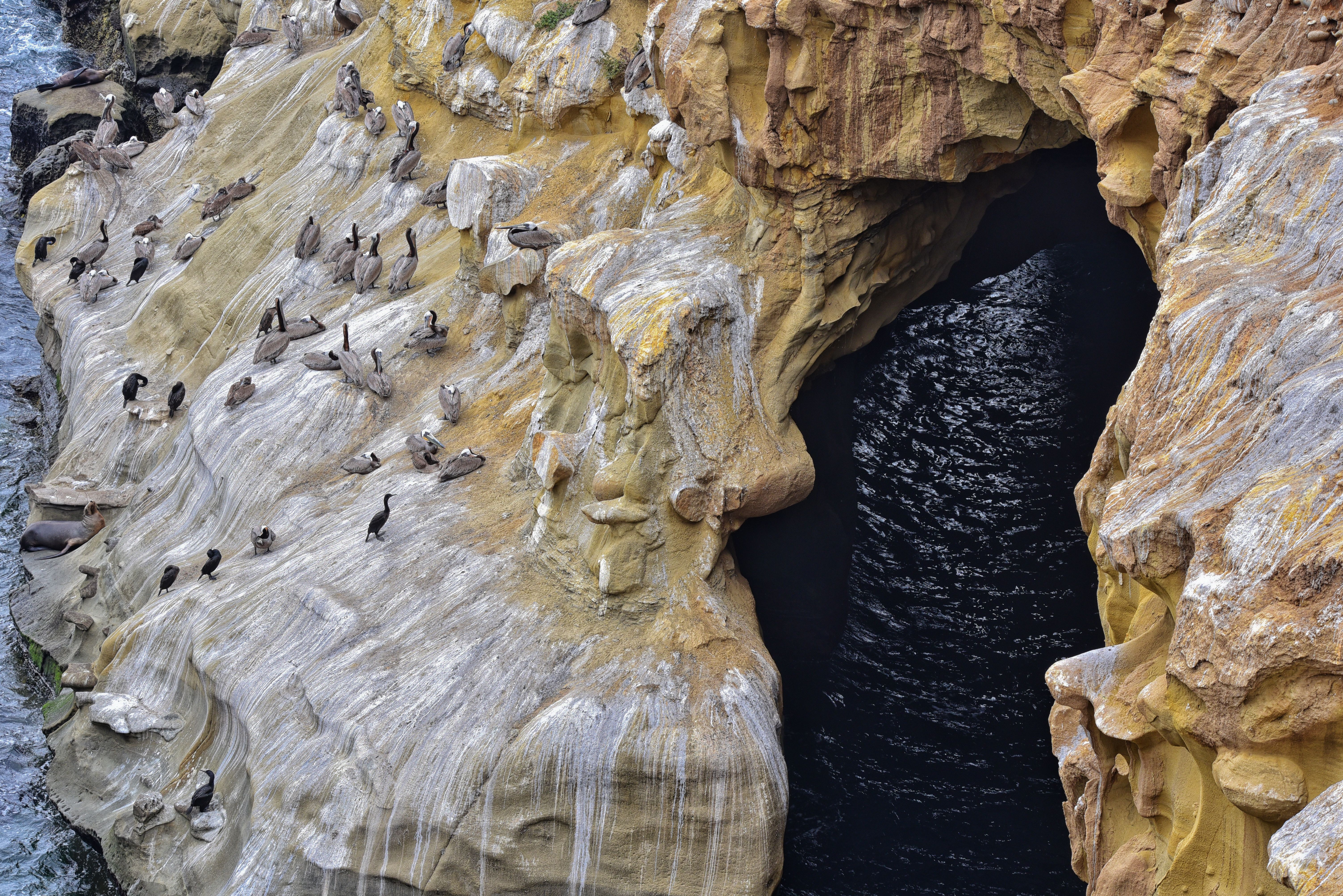 The 9 Best Day Trips From San Diego, From Wine Country to Sea Caves