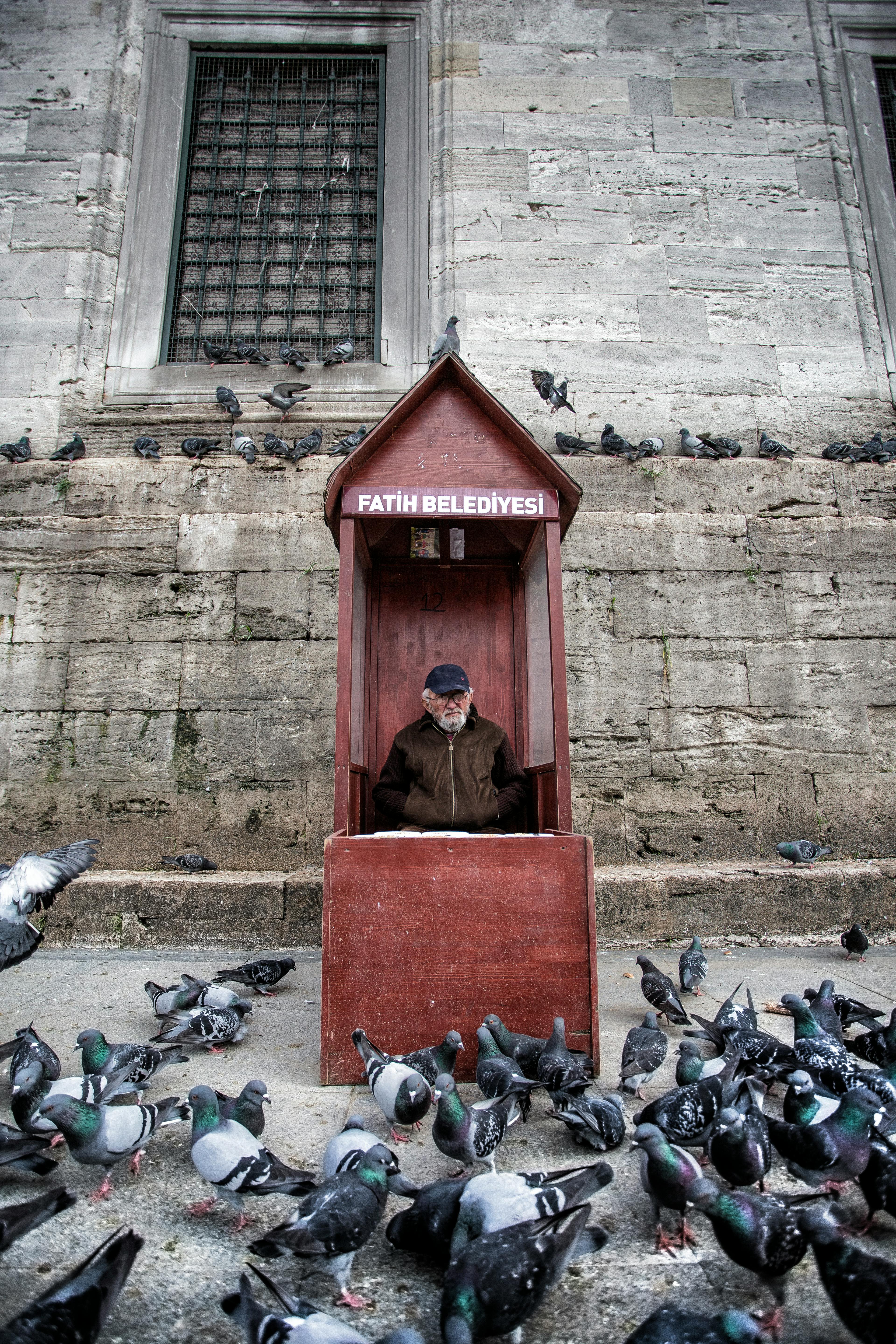 A man surrounded by pigeons at Fatih Belediyesi near the New Mosque in Istanbul.