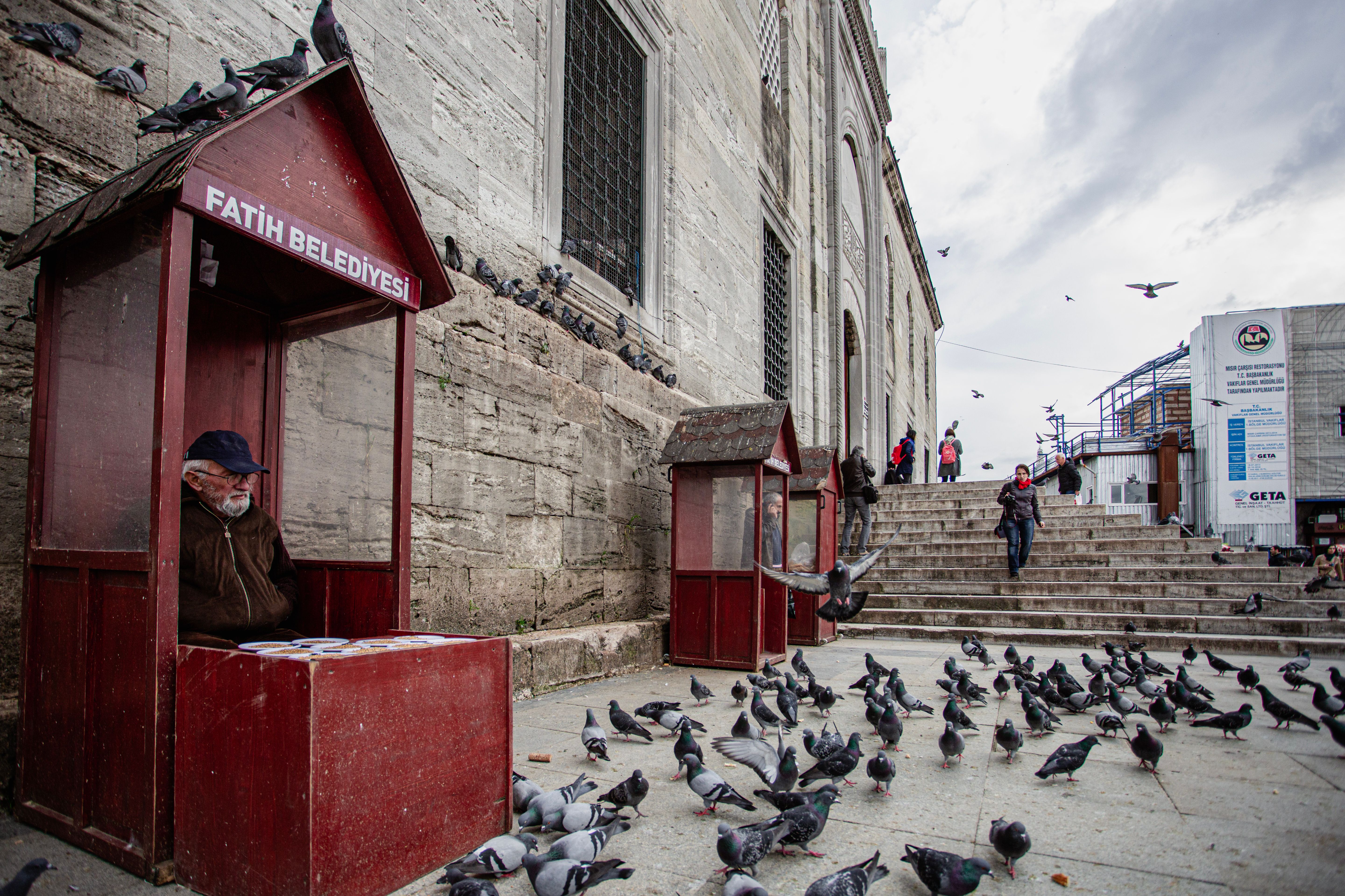 A man sits in a kiosk amidst a flock of pigeons near the New Mosque in Istanbul.