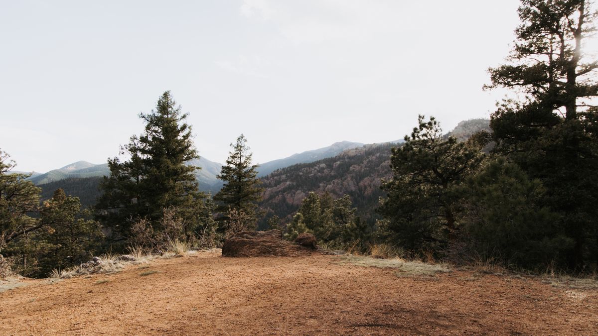 Product Giveaways in Colorado Springs, CO: Updated 2026 List for Local Winners