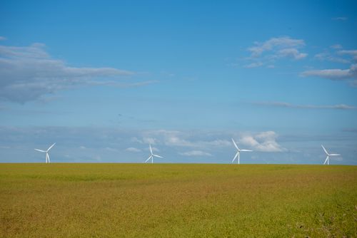 Free Wide shot of a wind farm with turbines on a green field under a bright blue sky. Stock Photo