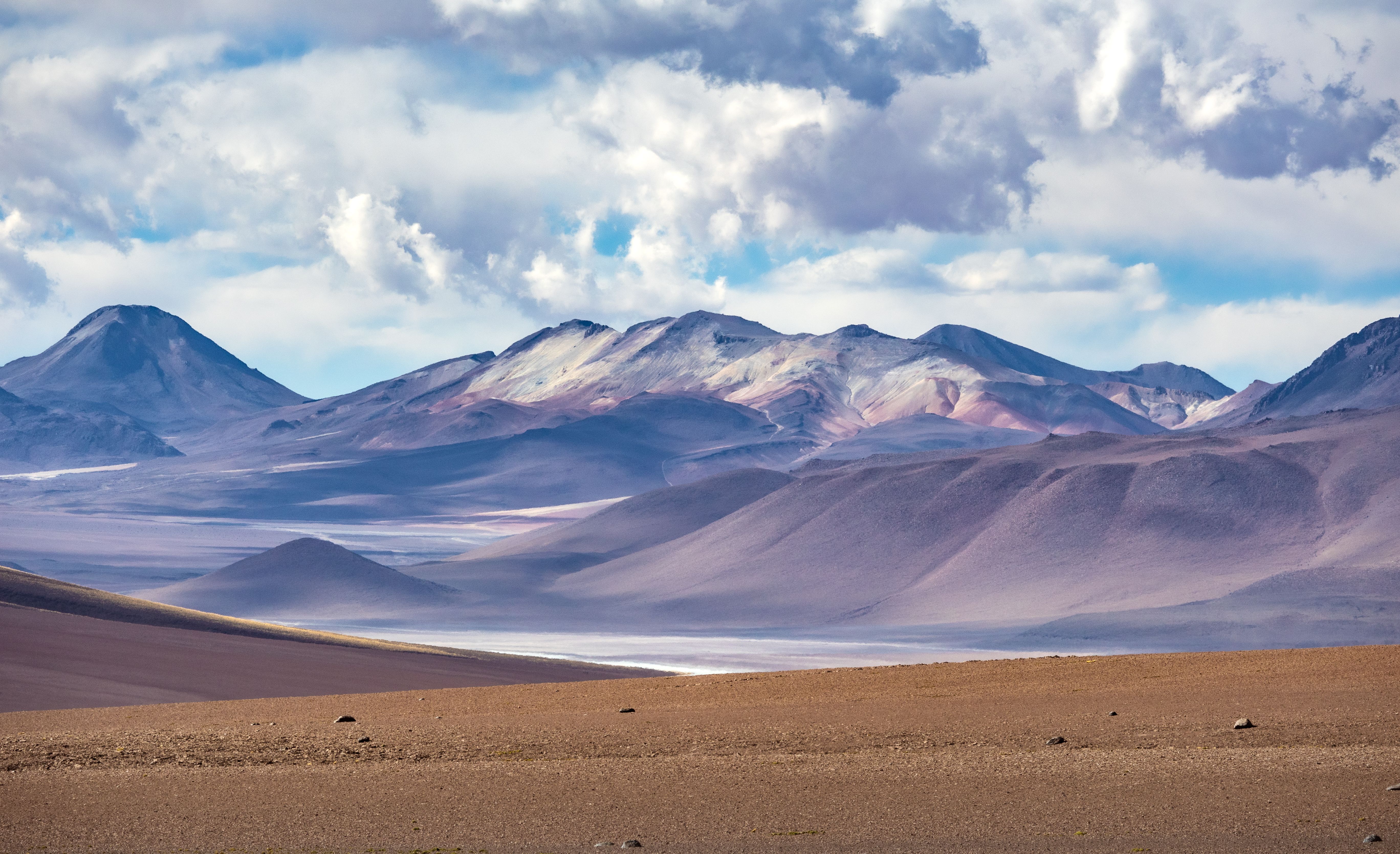 Tillandsia Desert Fields of the Alto Hospicio Pampa