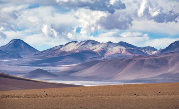 Laguna Cejar salt-lake float — Atacama Desert