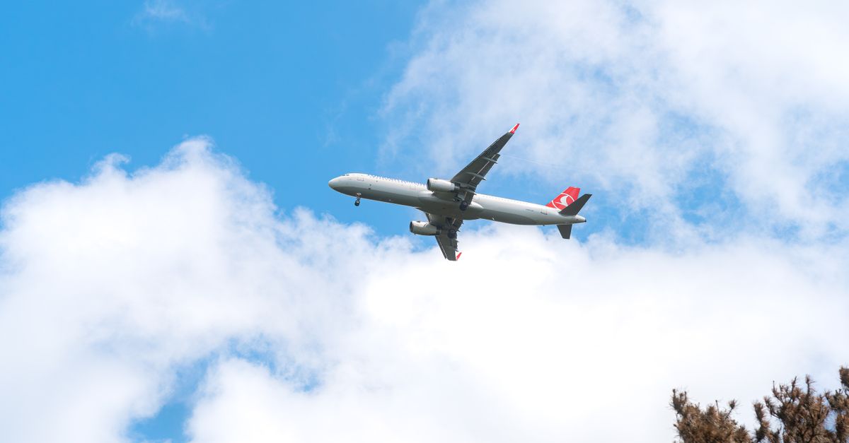 Mosquito on Plane Suspected in Malaria Deaths of 2 Workers in Germany
