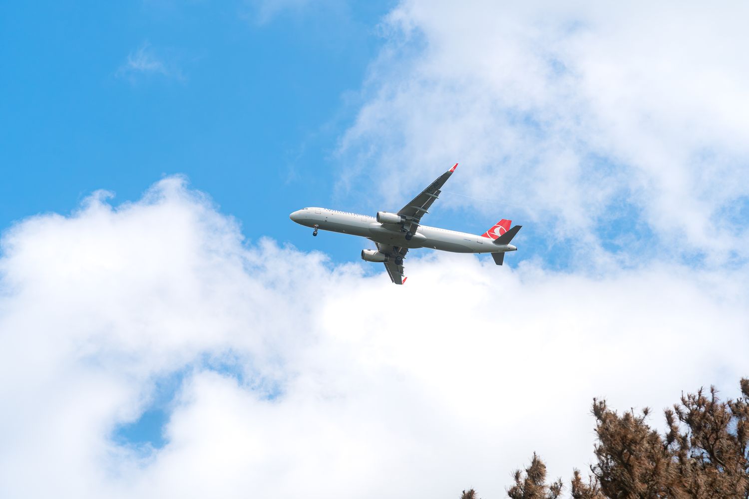 Plane Flying Photos, Download The BEST Free Plane Flying Stock Photos ...