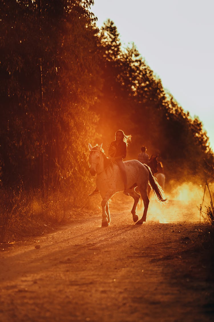 Photo Of A Person Riding A Horse