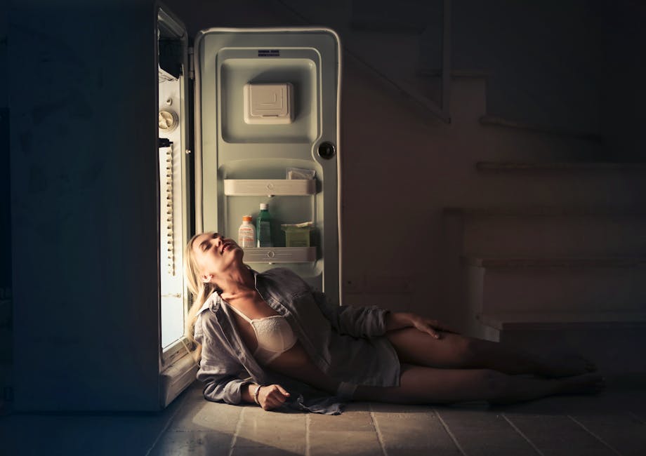 Quelle est la température idéale (recommandée) du réfrigérateur  Comment s'adapter en été 