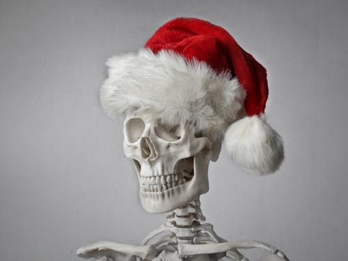 Portrait Photo of a Skeleton in a Santa Hat on