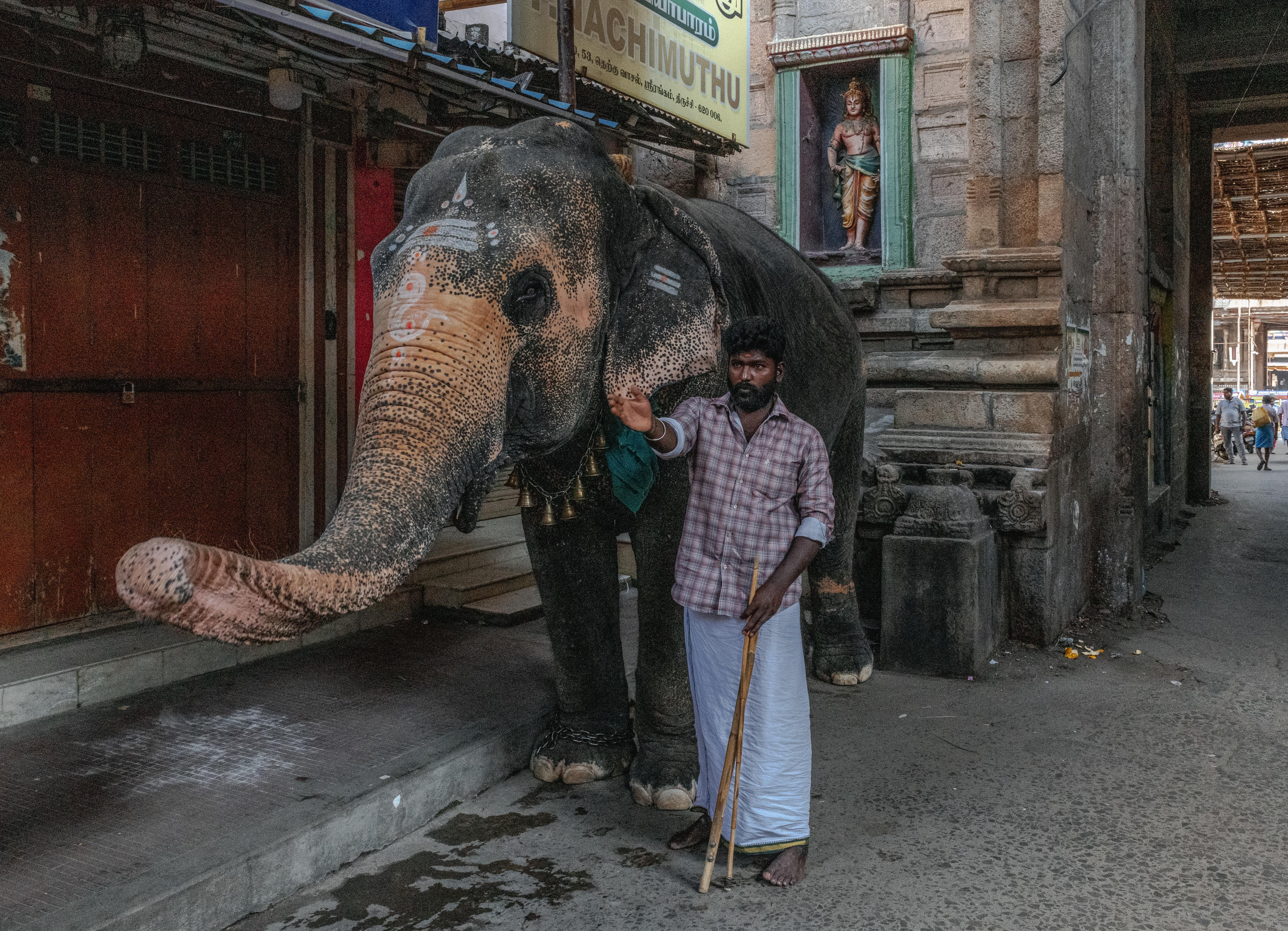 Tamil Nadu's Cashless Healthcare Revolution: Millions Served Annually