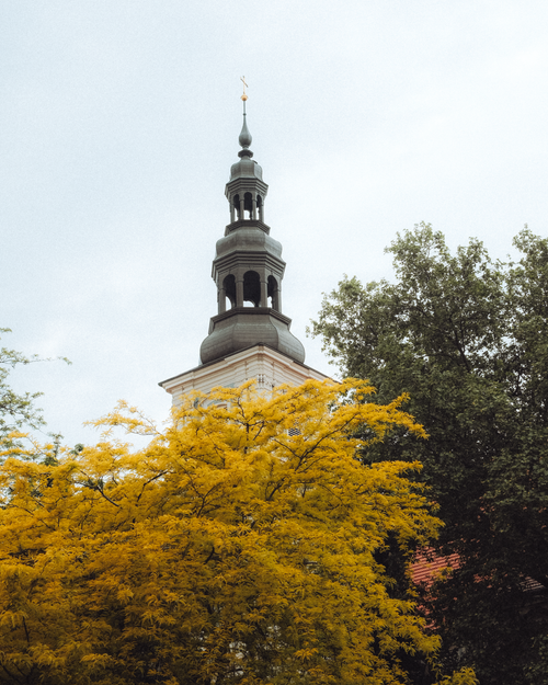 Free A picturesque view of a historic church tower framed by yellow autumn foliage in Breslau, Poland. Stock Photo