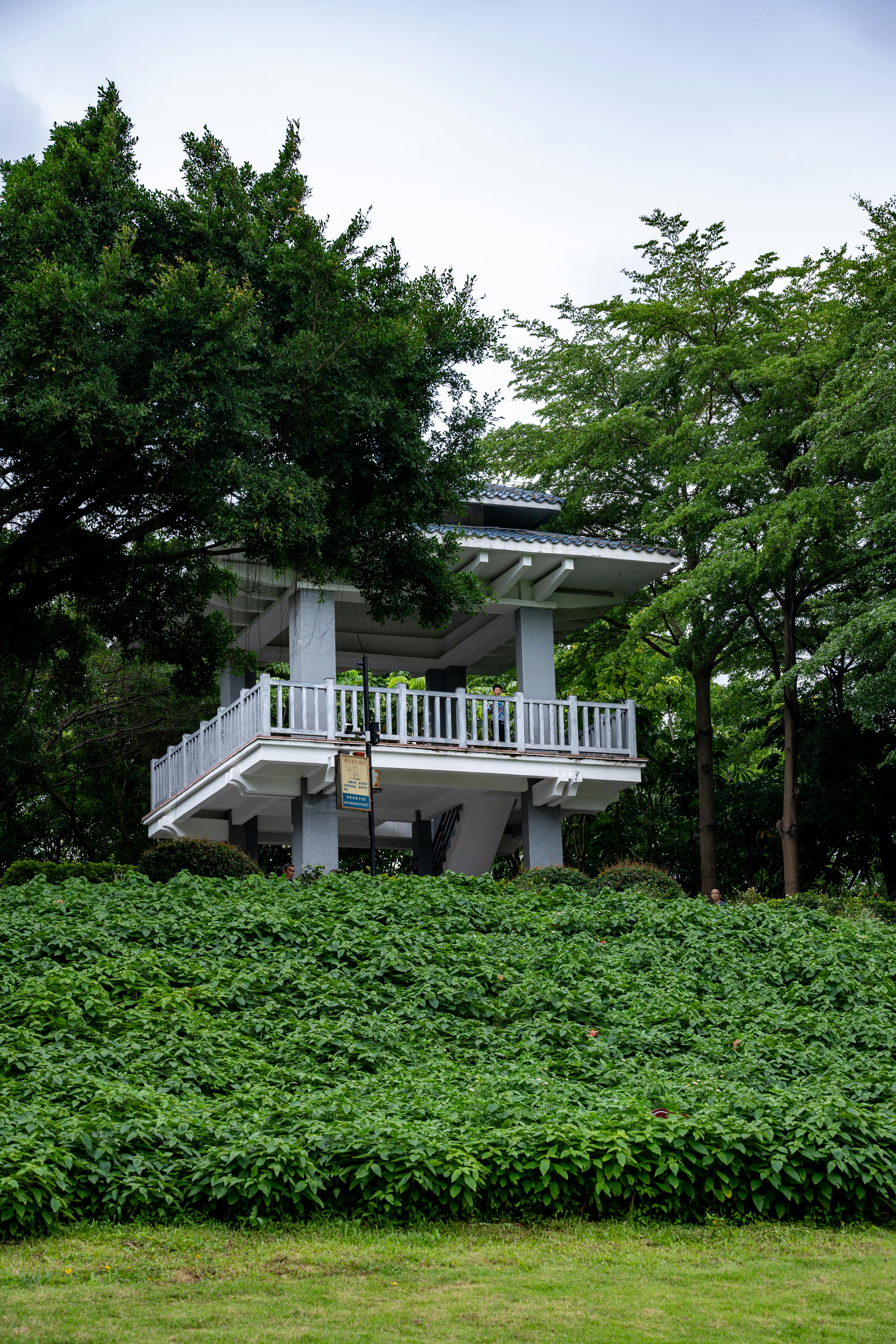 A serene pavilion in a Shenzhen park encircled by lush greenery, offering a perfect spot for relaxation and nature appreciation.