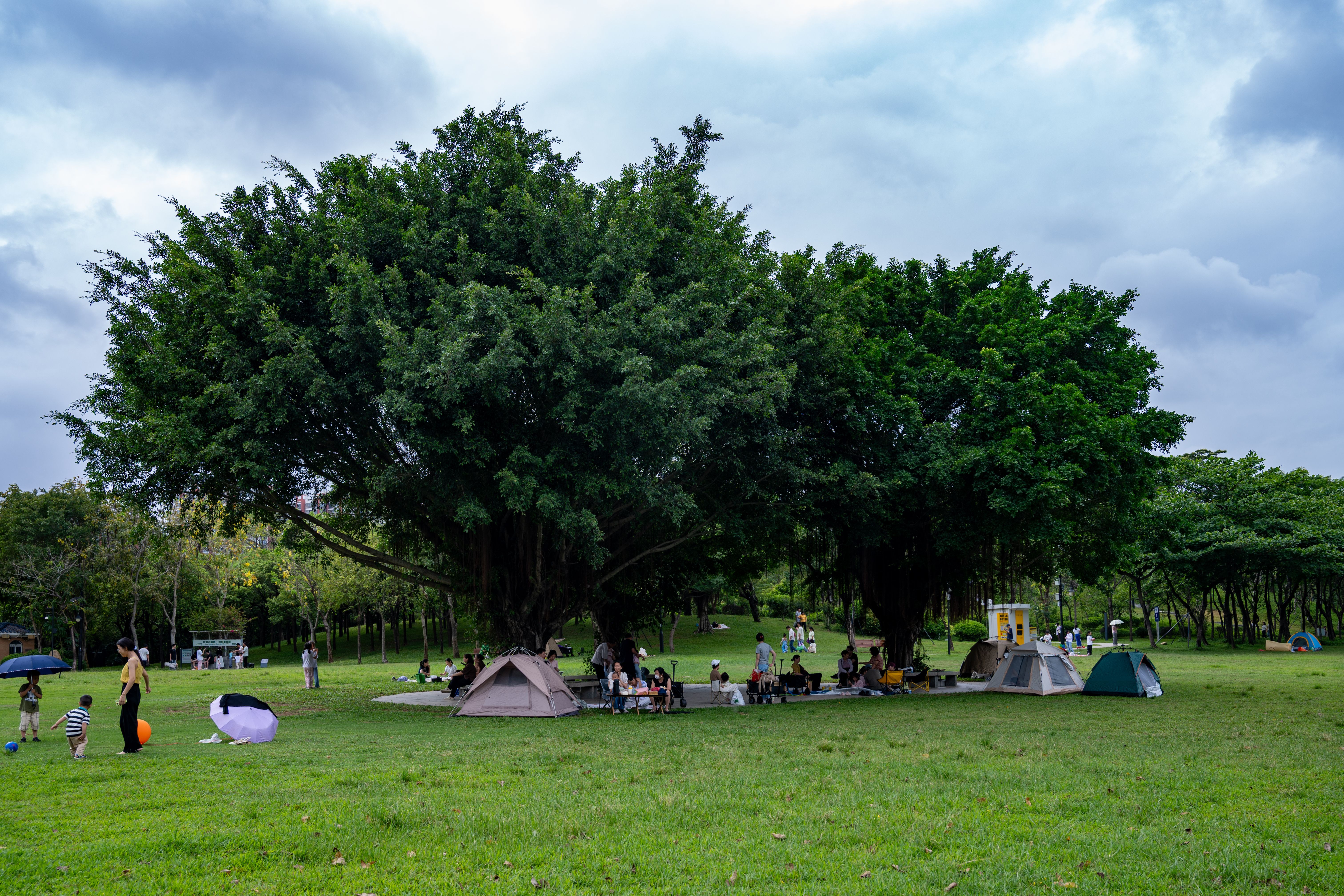 New outdoor recreation area opens in Okoboji after years of planning and construction delays — Photo by ainc T on Pexels