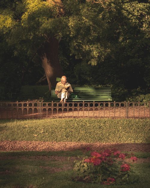 Free Senior man reading on a bench in a sunlit Buenos Aires park, surrounded by greenery. Stock Photo