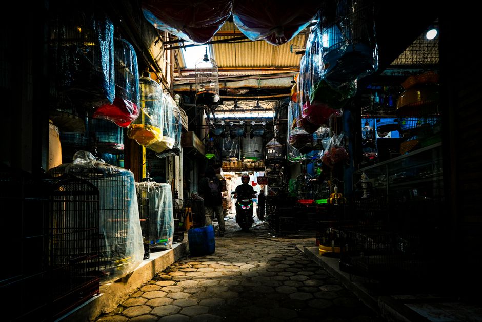 A vibrant indoor market scene in Jawa Barat, Indonesia featuring colorful bird cages and bustling activity. A vibrant indoor market scene in Jawa Barat, Indonesia featuring colorful bird cages and bustling activity.
