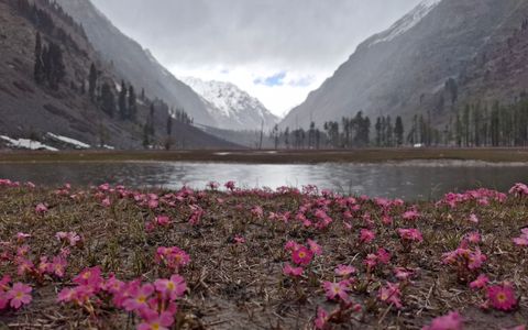 Hemkund Sahib + Valley of Flowers + Badrinath — 6N/7D