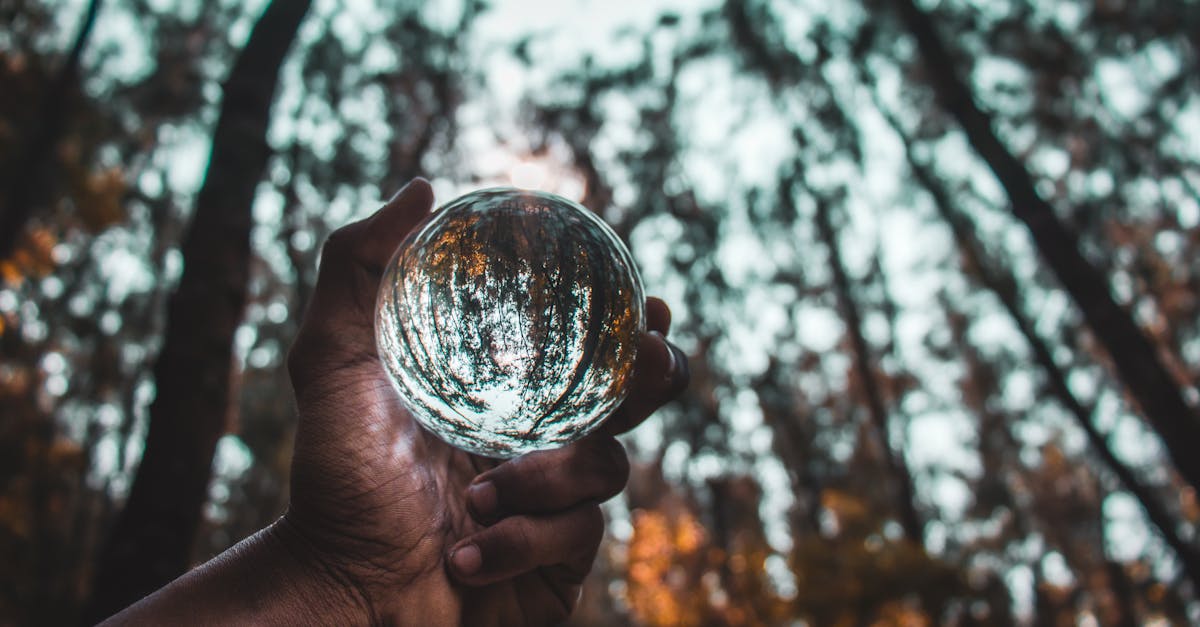 From below of crop anonymous person holding transparent glass ball reflecting autumn trees in forest