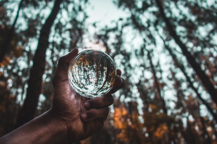 Crop Person Demonstrating Glass Ball In Forest