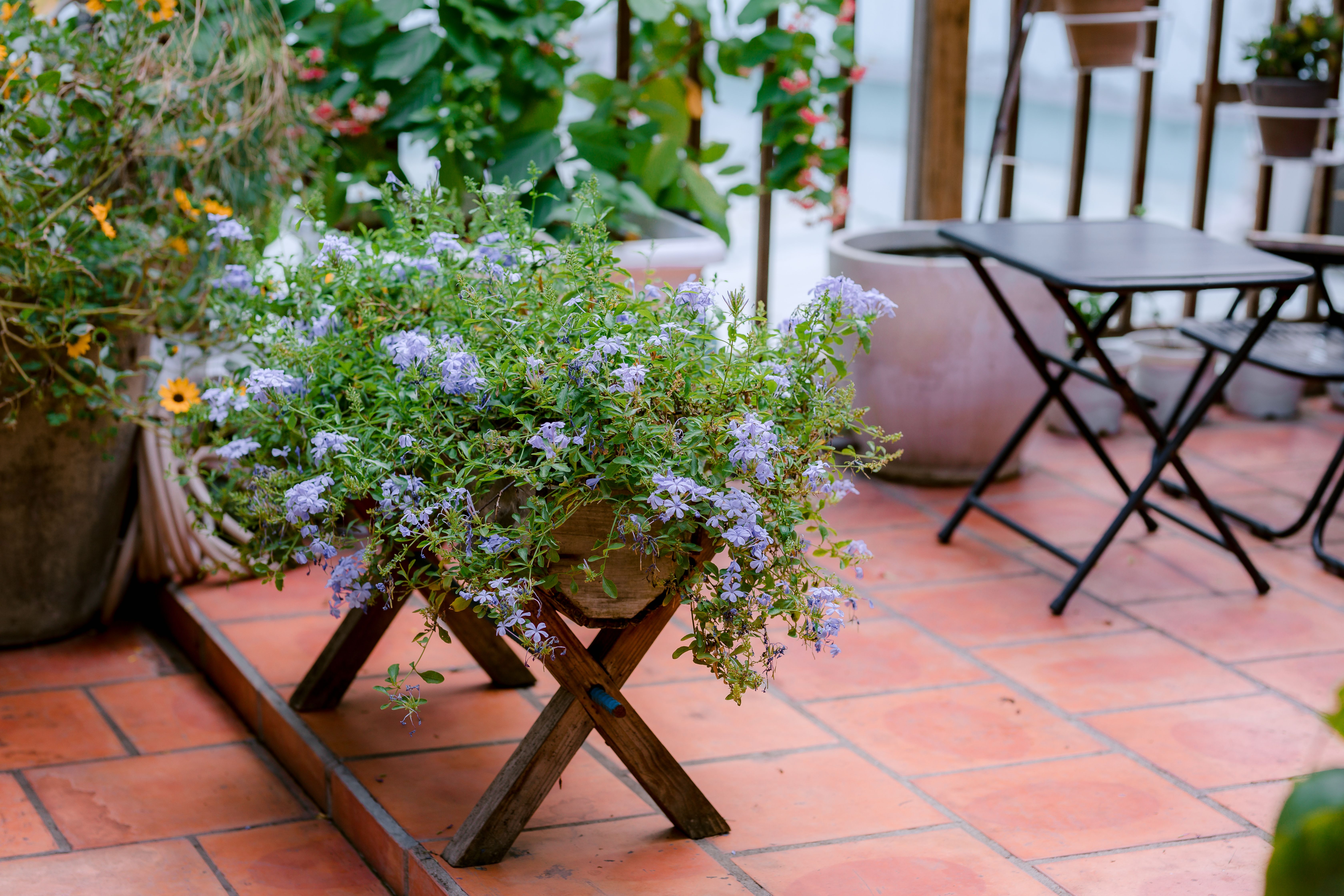 Bosmere Pot Feet Terracotta Plant Stand Set