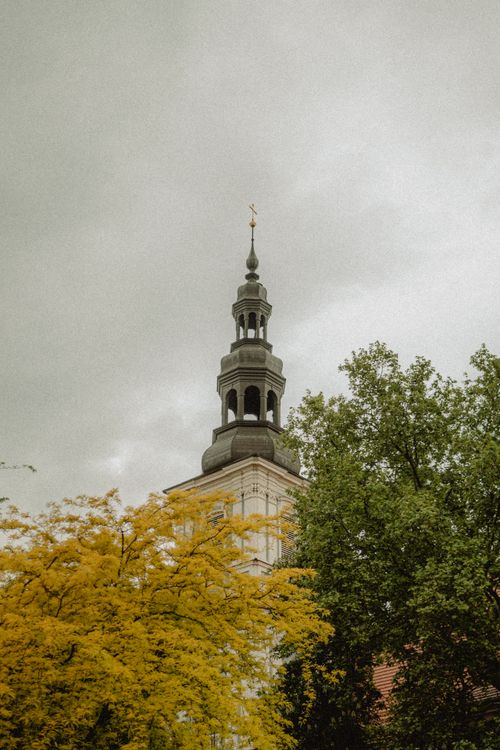 Free Charming view of a historic tower rising above trees in Wrocław, Poland under a cloudy sky. Stock Photo
