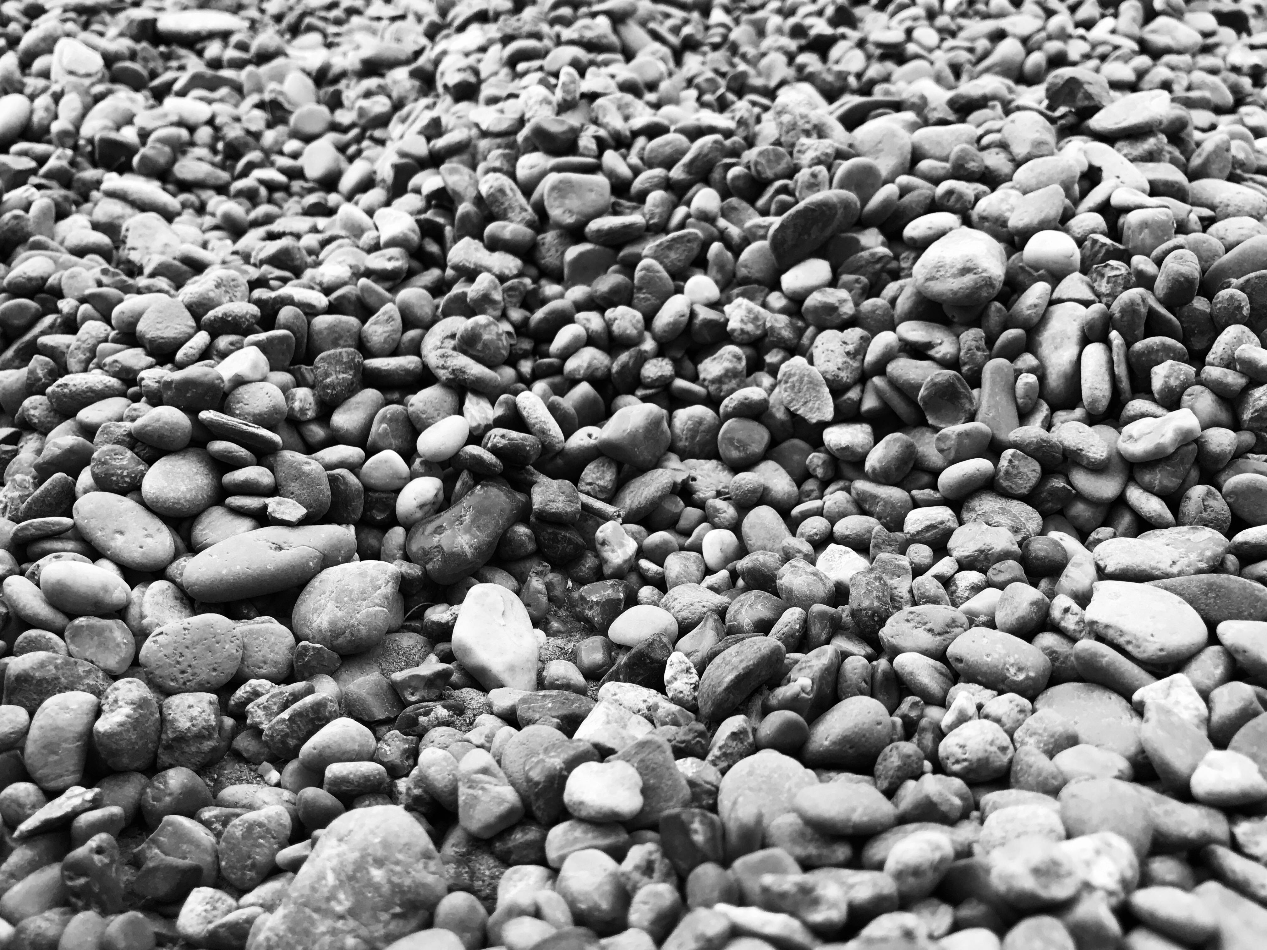 广州租赁公司如何用肇新智能文档比对处理复杂版式租赁协议的修订