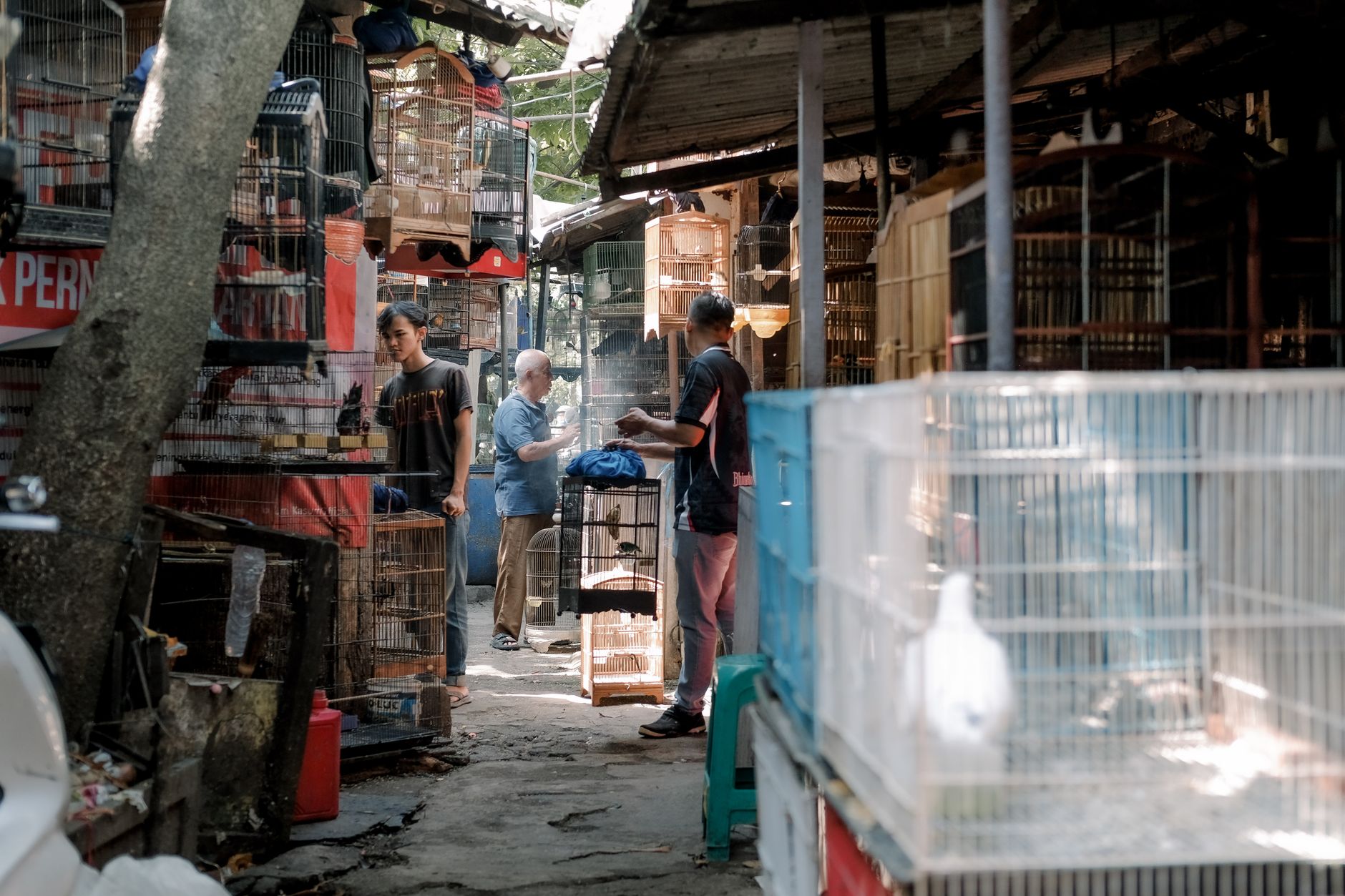 Lively bird market scene with vendors interacting, surrounded by various bird cages.