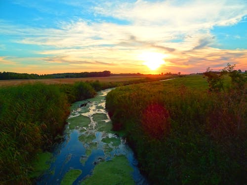 Základová fotografie zdarma na téma kanál, louka, louky