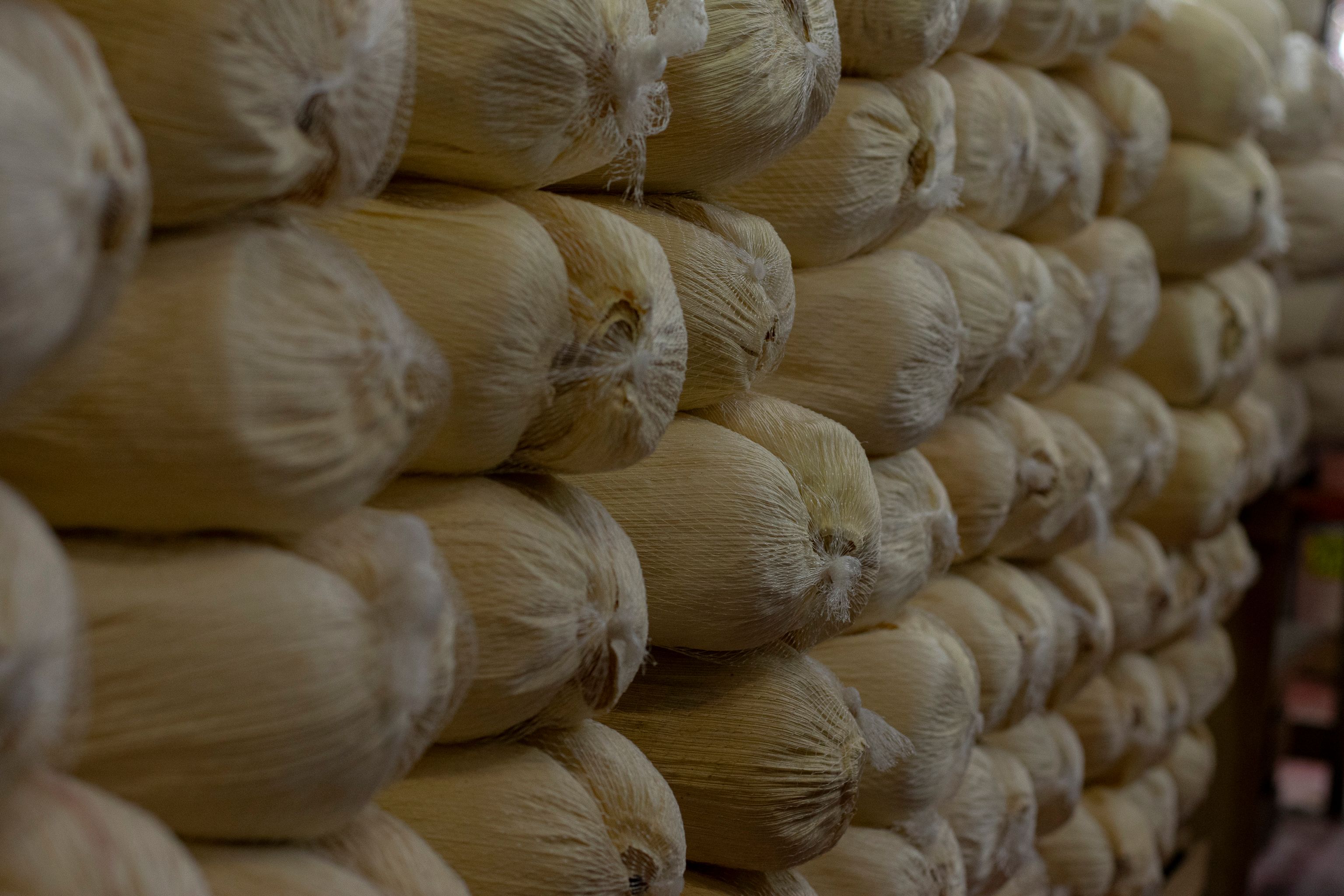 Neatly stacked corn husks in an indoor storage setting. Perfect for harvest themes.