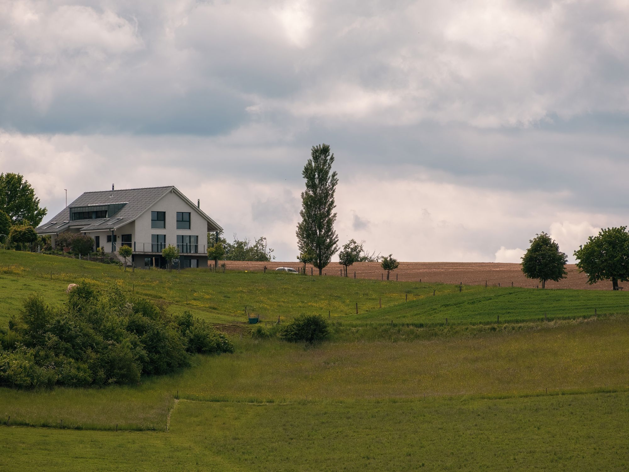 House Removals in Elland, Yorkshire — professional movers carrying furniture on a house move