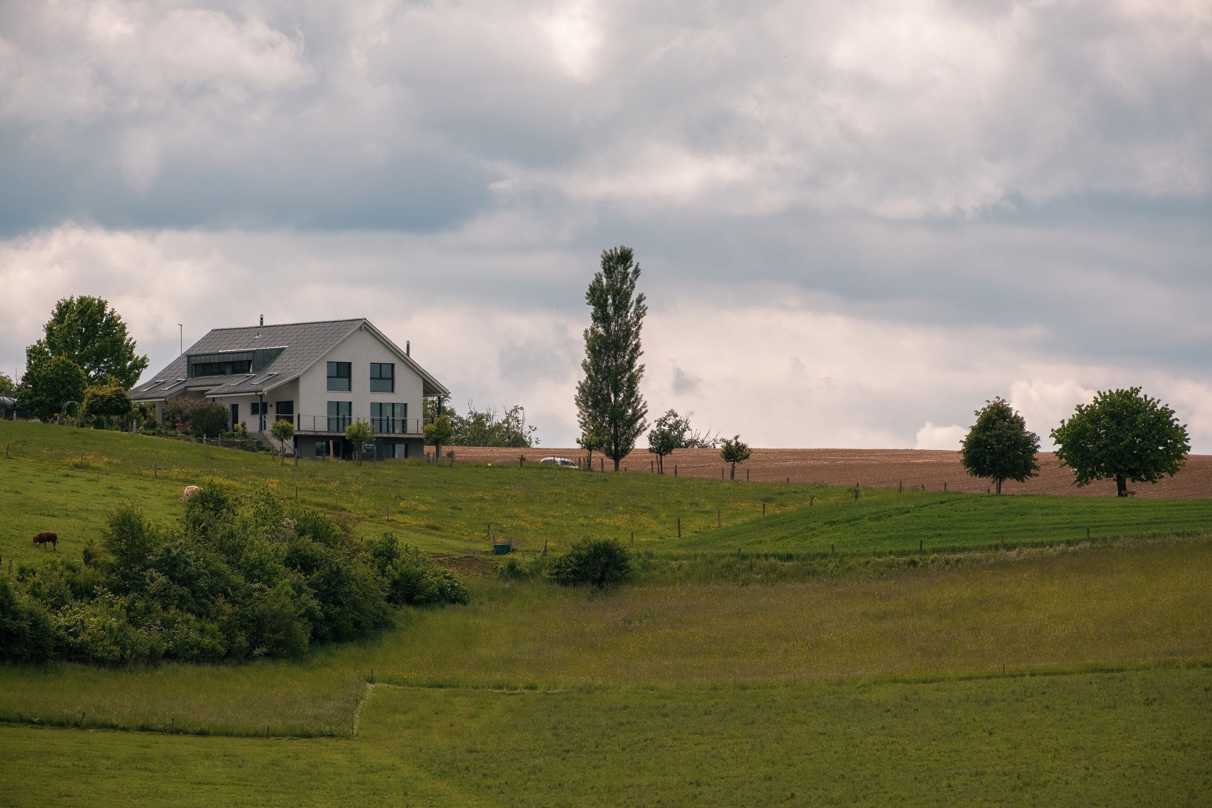 Maison neuve contemporaine dans un cadre verdoyant en Vendée