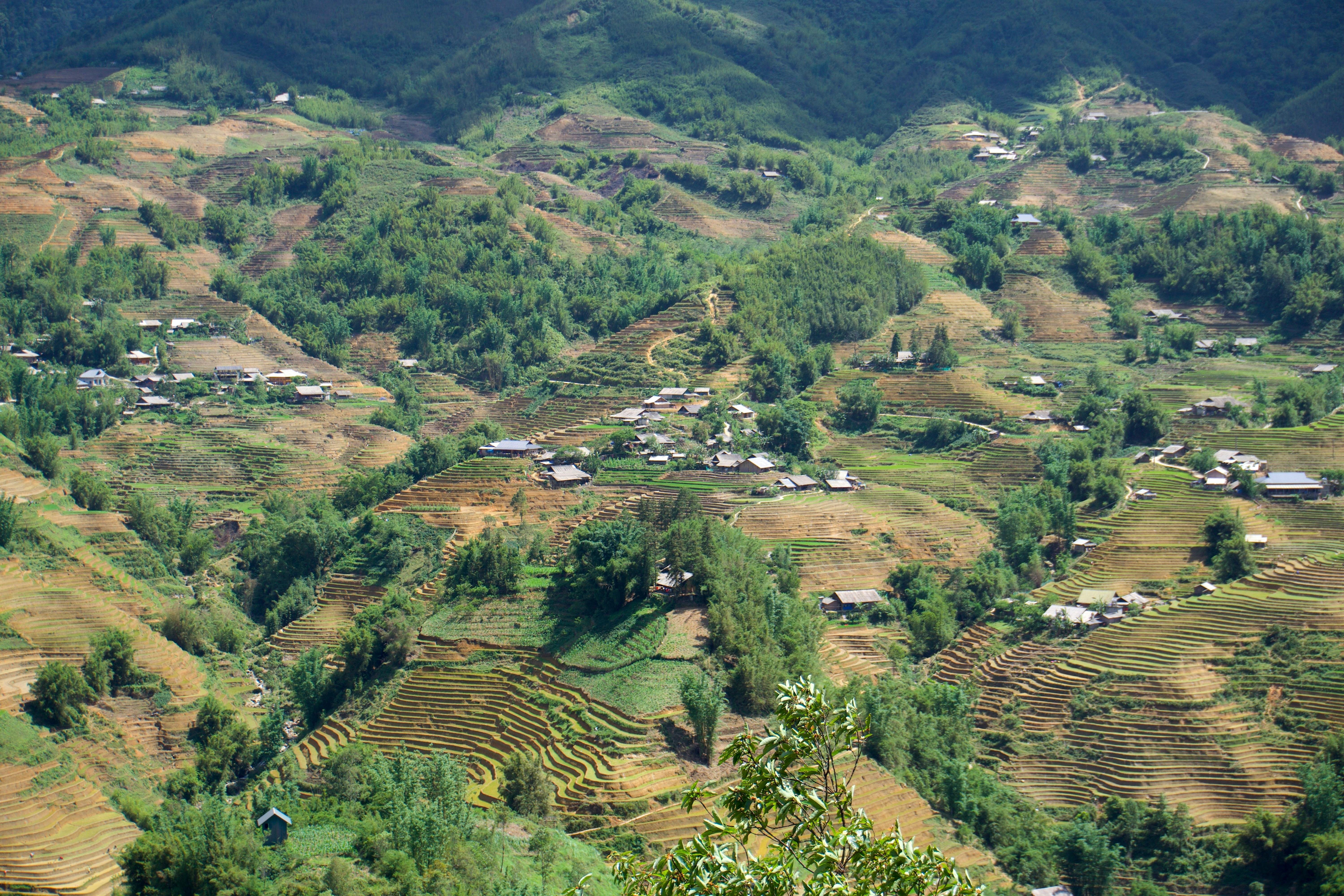 Stunning aerial view of Sa Pa's terraced rice fields and rural landscape.
