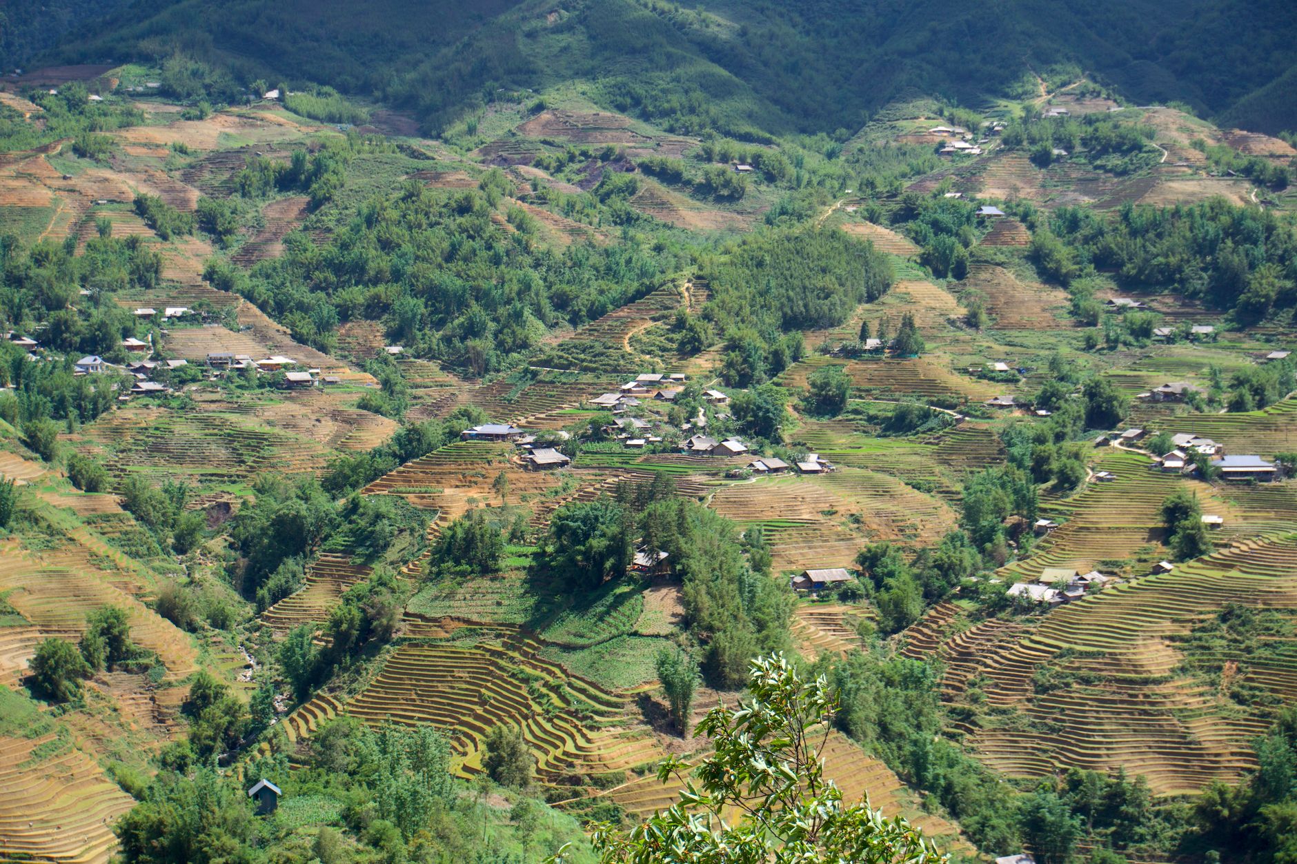 Stunning aerial view of Sa Pa's terraced rice fields and rural landscape.