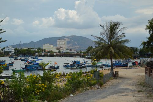 Free Beautiful harbor with docked fishing boats, palm trees, and mountain backdrop under a cloudy sky. Stock Photo
