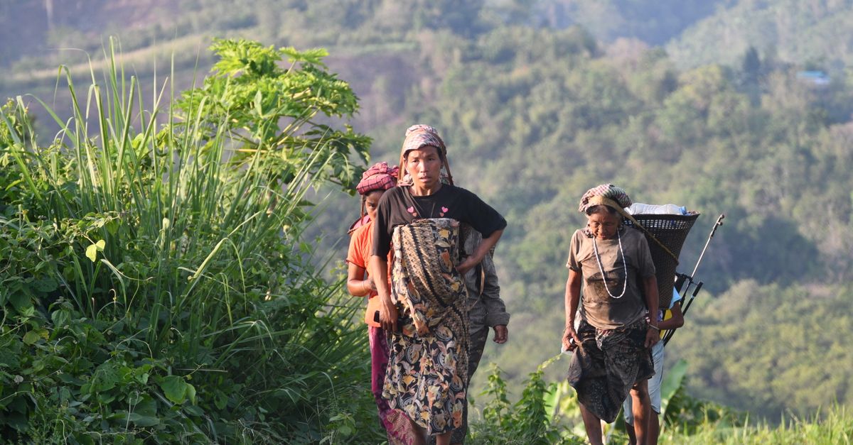 Photo of Timor-Leste