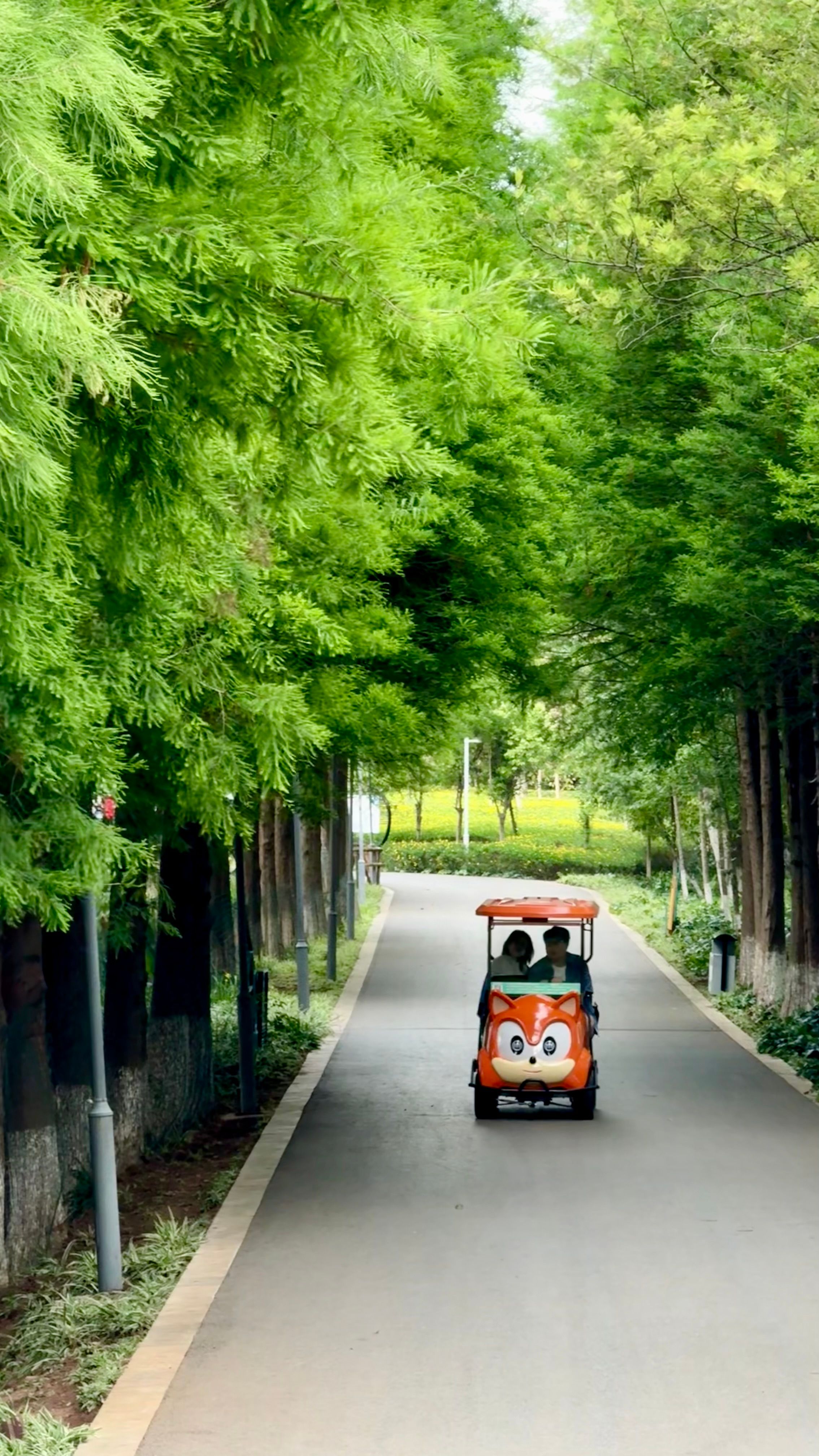 A cartoon-themed buggy with people drives down a tree-lined path, creating a playful scene.