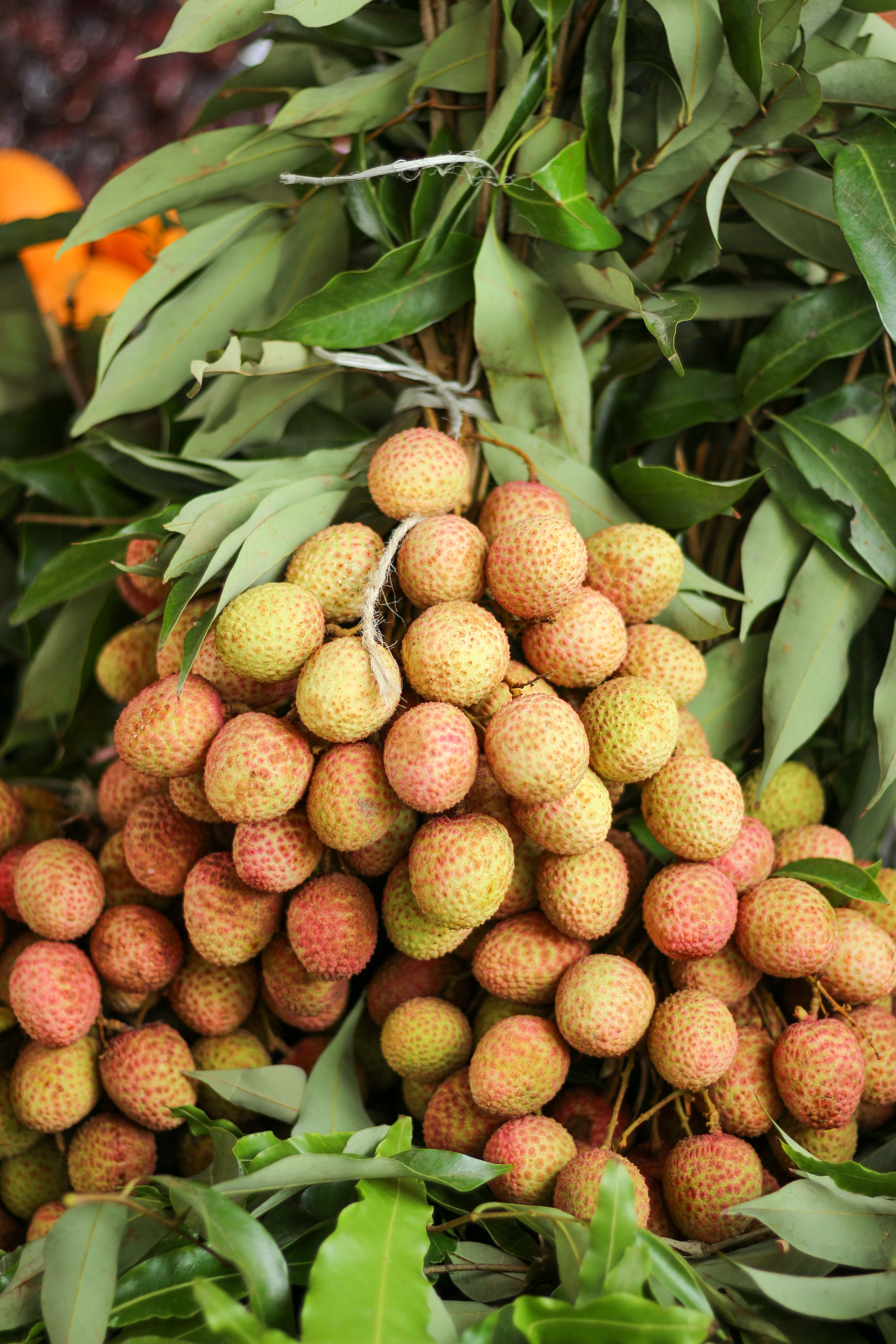 Lychee