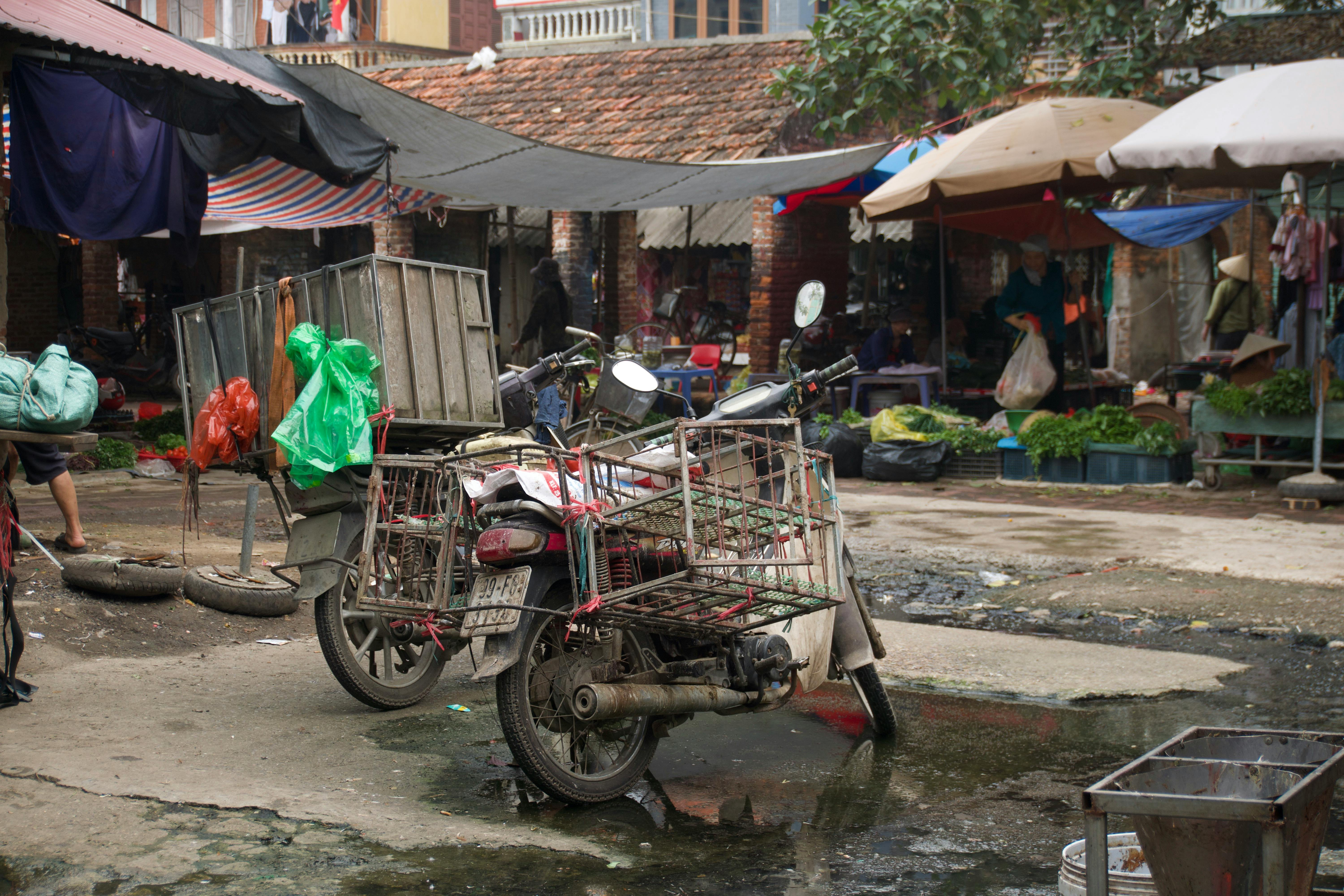 Vibrant and bustling daily life at a traditional Vietnamese market in Hung Yen.