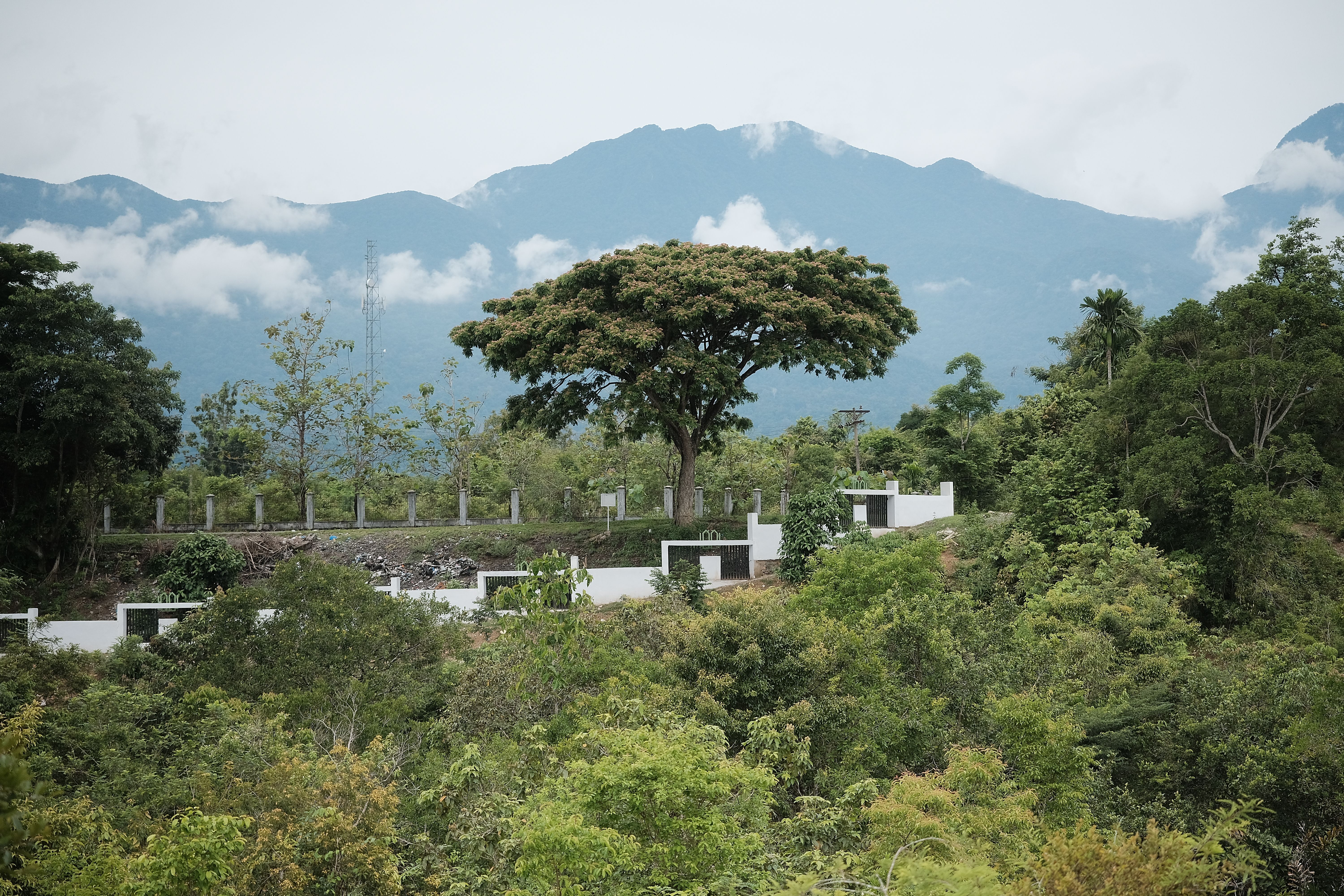 Bukit hijau di Kecamatan Banawa
